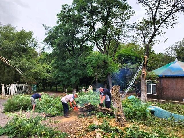 � ������ �������. 8 ���� ������������� ������������ ������ ��������� � ������� �� ���������������� ������� ��������� �...