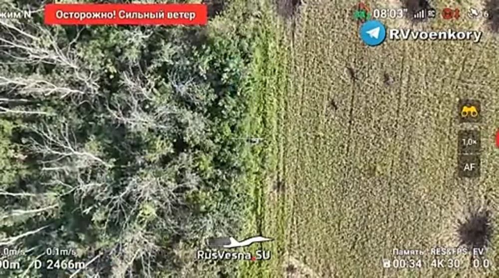 � ���� � ��������� ���� ����� ��������� ����������� � ������ ���