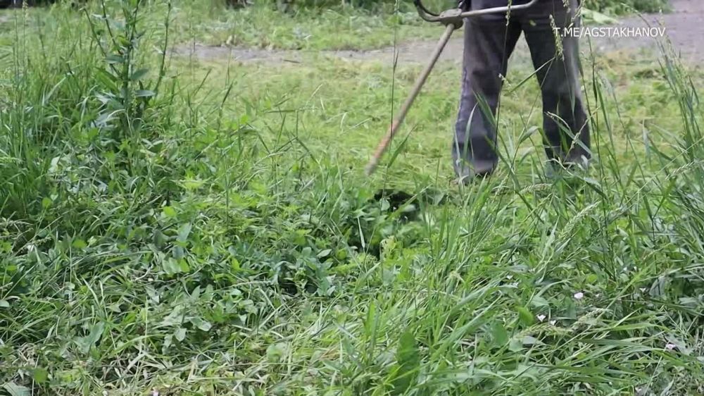 ������ ��������: ������ ��������� ���������������� � ������ ��������