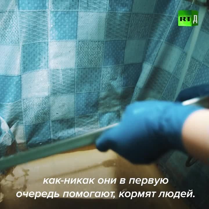 ��������� ������ �����, � � ������� �� ����� ����������