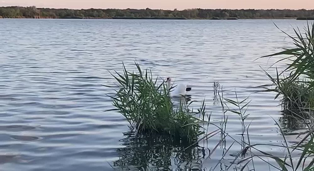 �� ������������ ������������� ��� ���� ����� �������� �������! ��� �� ������ ����� � ���������� ����� � ������ ������ � �������, ��� �� ��������