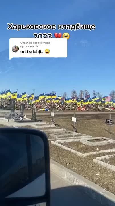 ������ �������: �������������.. @marochkolive