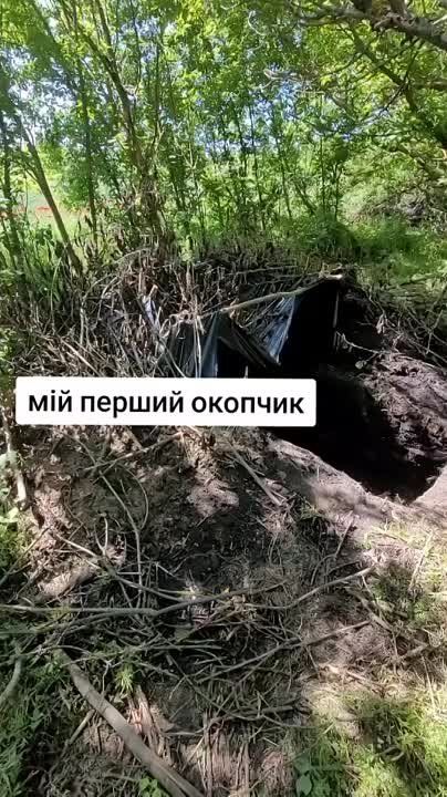 ������ �������: ����� ������� �����, ���� ���� ��� ������ �� ���������� ��������(��)