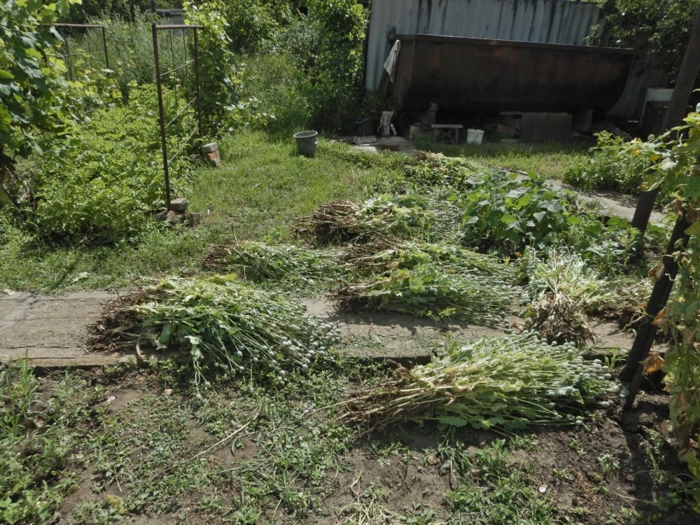 ���������� ���� ������ ������������� ������ ������� 1,5 ���������� ���������, � ����� ����� 1000 ������ ����