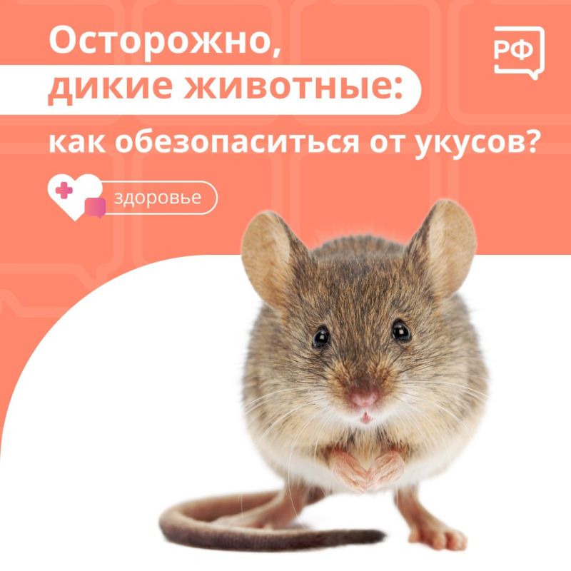 ������� ������ ����� ���������, ��� �� ���� �������� ����� �������