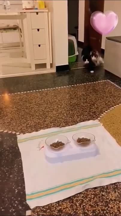 ������ ����!. �������� �������� ��� �������� ���������� �������������� �� �����