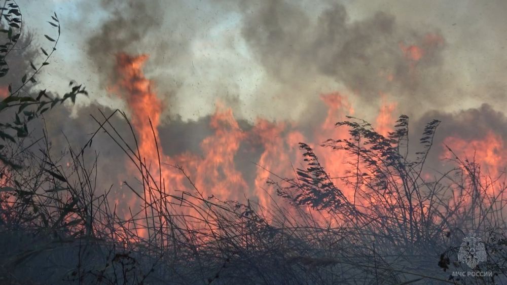 За минувшие сутки на территории ЛНР ликвидировано 14 пожаров на открытых территориях