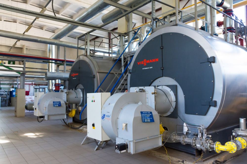 ����������� ������� �������������������� � �. ������� � ������-������� ������� 2023-2024 ��. �������� ��������� �����������