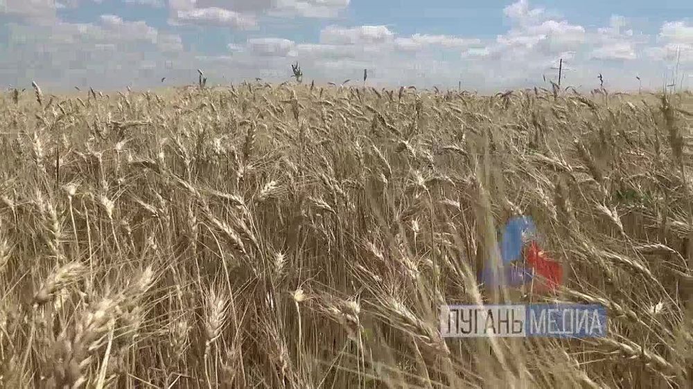 � ��������� ��� ��������� ��� �������� �������� �������� ������� � ������������ �������� � ������� ������� ���������, ����������� ������ �� ������������ ����������������, ��������� � ������������ ���������