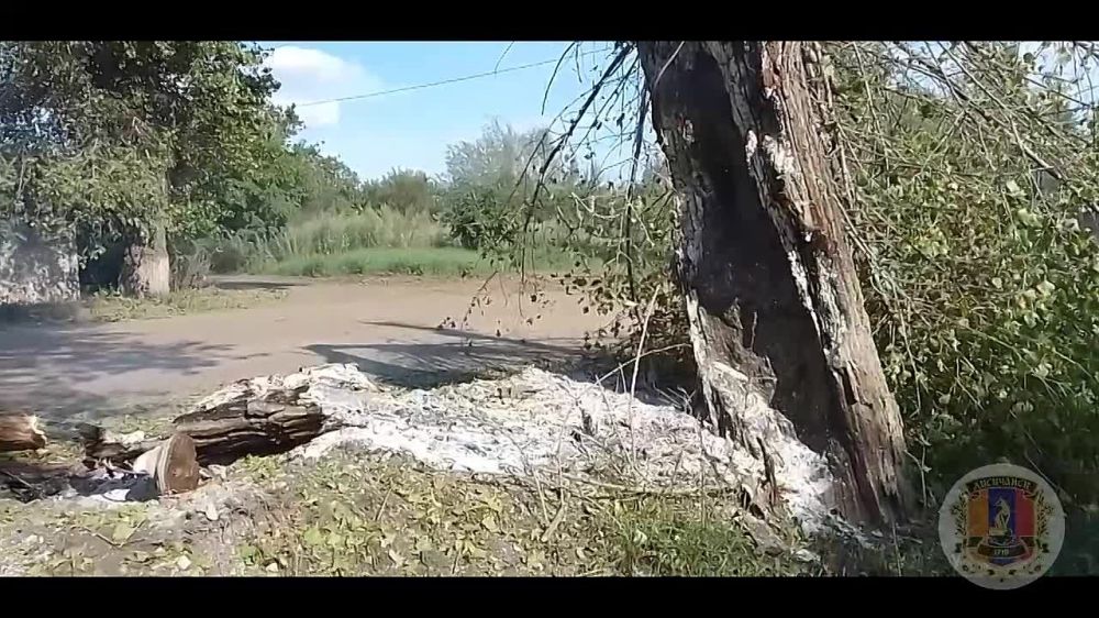 Украинские войска в полдень вторника выпустили больше 20 ракет из РСЗО «Град» по городу Приволье, относящегося к Лисичанску