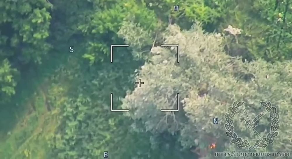 ����� �����: ������ ������������. ��������� ��� ���� ���������� ���� M-55S