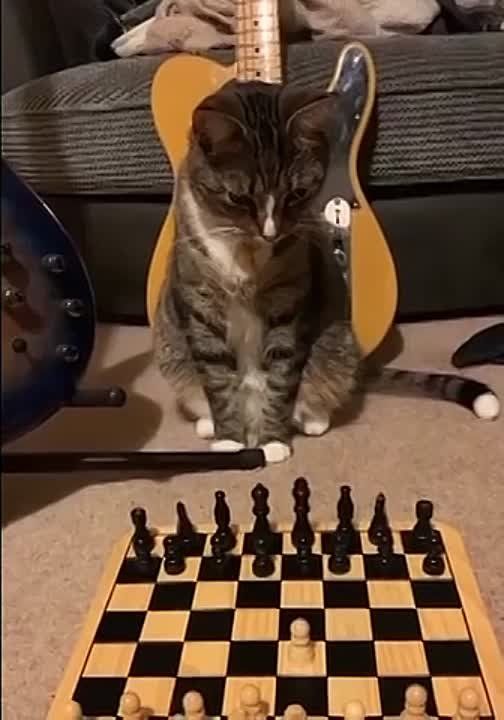������������ ������ �� ���� �������!