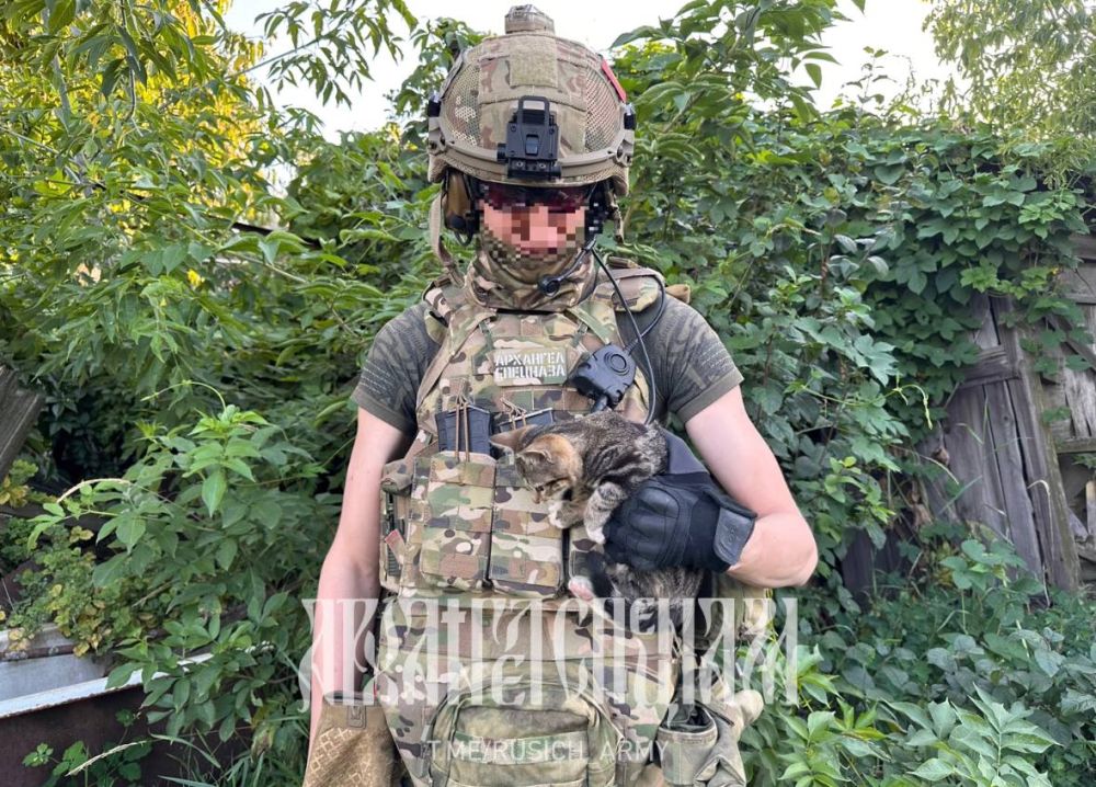 WarGonzo: ����������� ����� ������ �������� ��� - @rusich_army