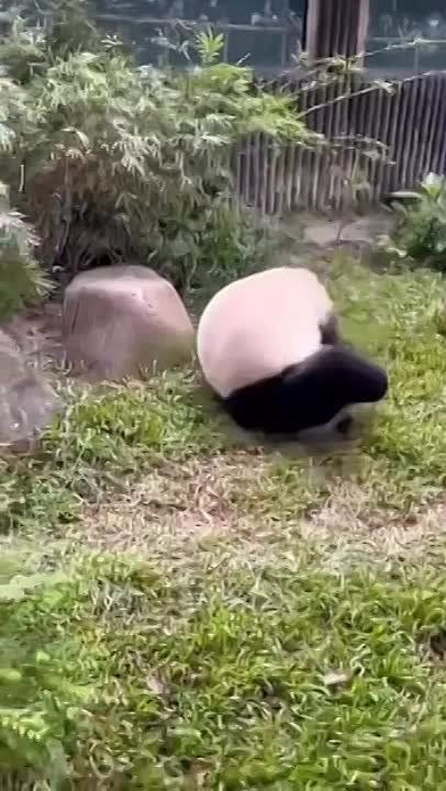 ��������� ����������� � ��������