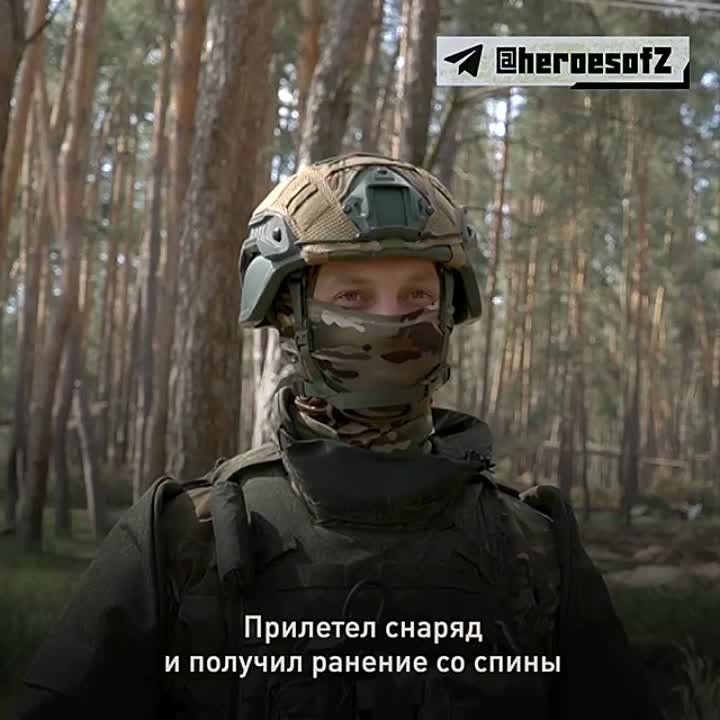 ����� �����: ������������ ��� ������� � �������� ������ ������ � ����� � 2015 ����