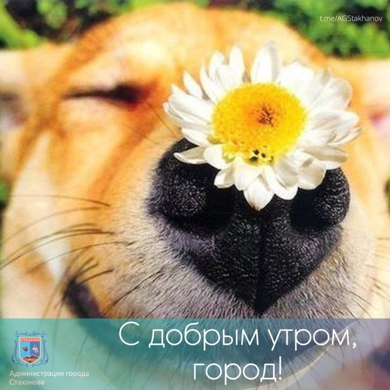 � ��� � �������! ���� �������� ����������