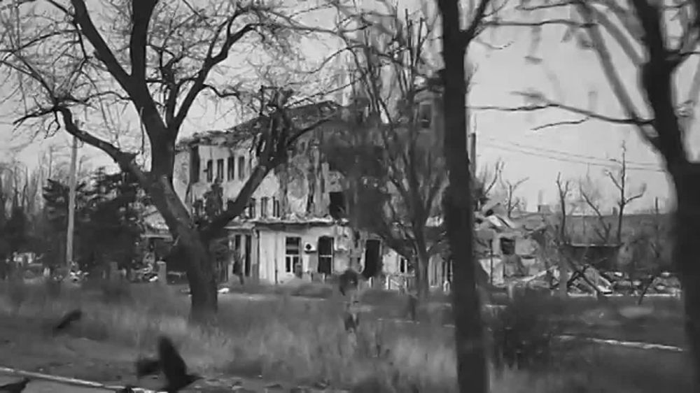 ����� ���� SHAMAN�, ������ � ���� ���, ������ ������� ���������� �� 20 �����*