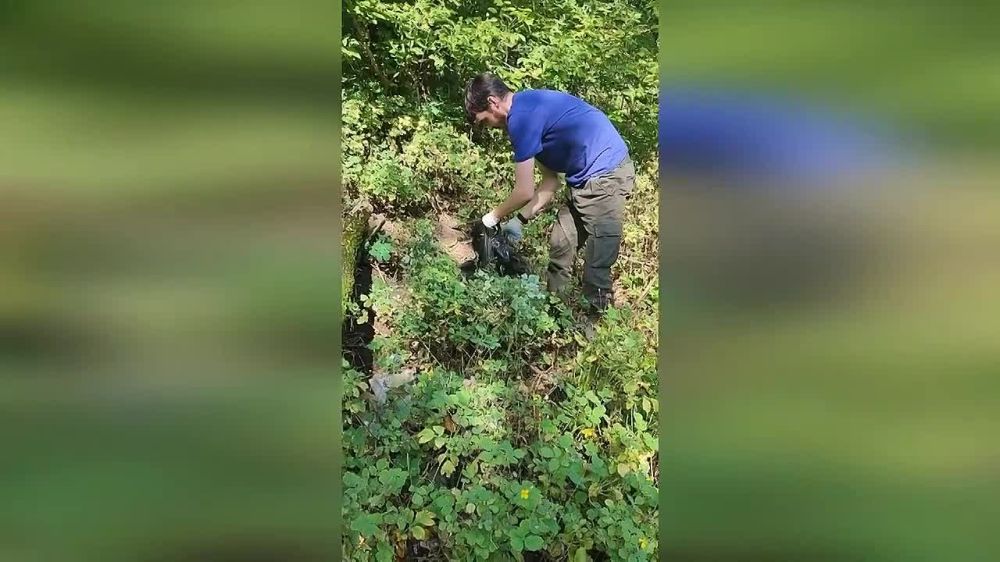 ���������� ��� ������� ������� �� �������� ������ ���������� ������ ���� ��������, �������� ��������� � ����� Telegram-������