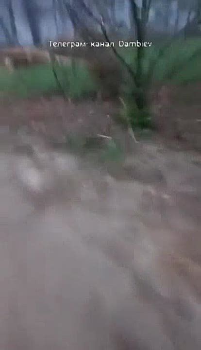 ������ �������: "��� ��@��". ������� ��� � ����� ��� ��������� ����� �������-��������������� ����� �� ��