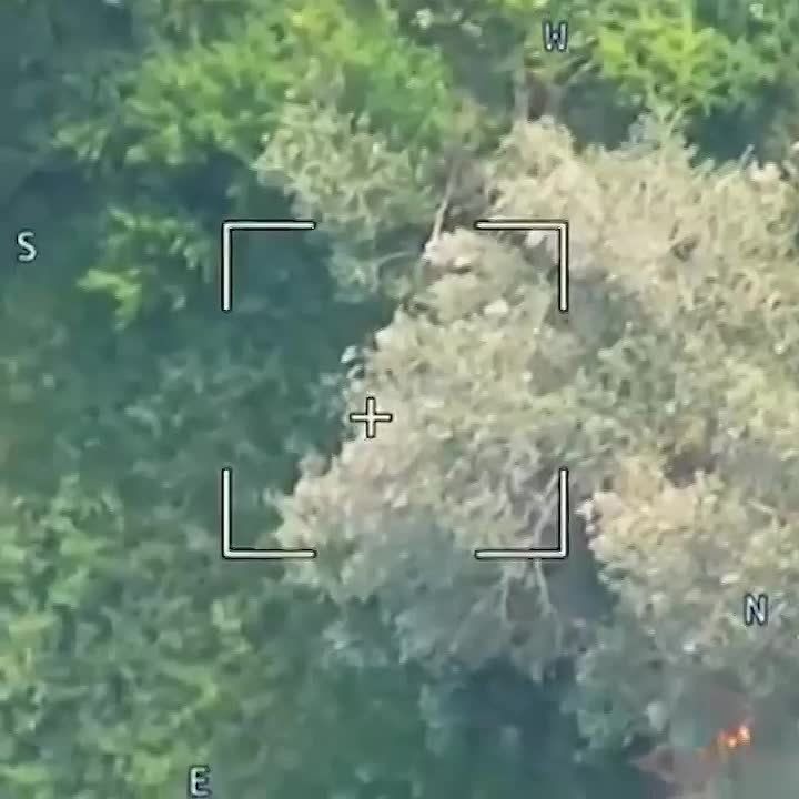 � ���� ������������ ���������������� �� ������ ����� ������� � ��������� ���������� ���� �������� �������, �������� Forbes