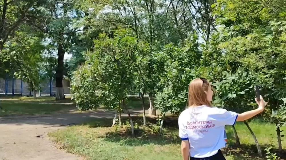 �������� ����������� �������� ������������� ������� �������� ������� ������