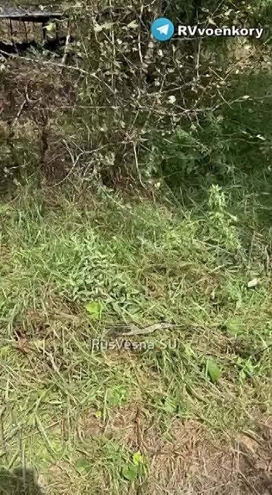 �� �� �������� ������� ���������� � ������ ���������