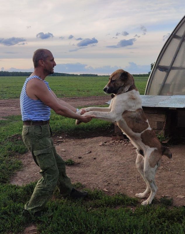 ���� �����: ������ ������� ������, �� ��� ���� ������.