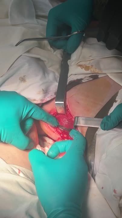 ���� ��������: ��, ��� ��������� ������� � ������� ��������� � �������� ����� ��� ����� ������� ������