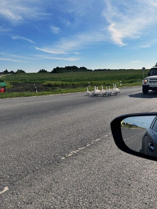 ������� �������: ���������� ������ ��������� - ������� ������� ���. ������� �������