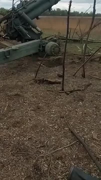������ �������: ��������� ������ "����������" � ���������� ��������������� ������