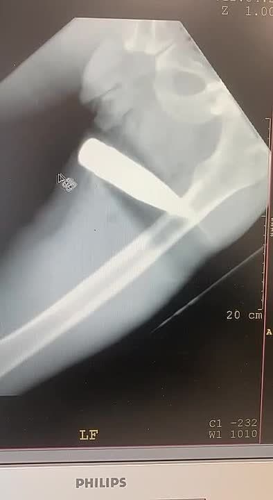 ���� ��������: . �������� ����� ������, ����� �� ������ ��������� � ���, ��������� ����� � �������� �� ������, ������� ��...