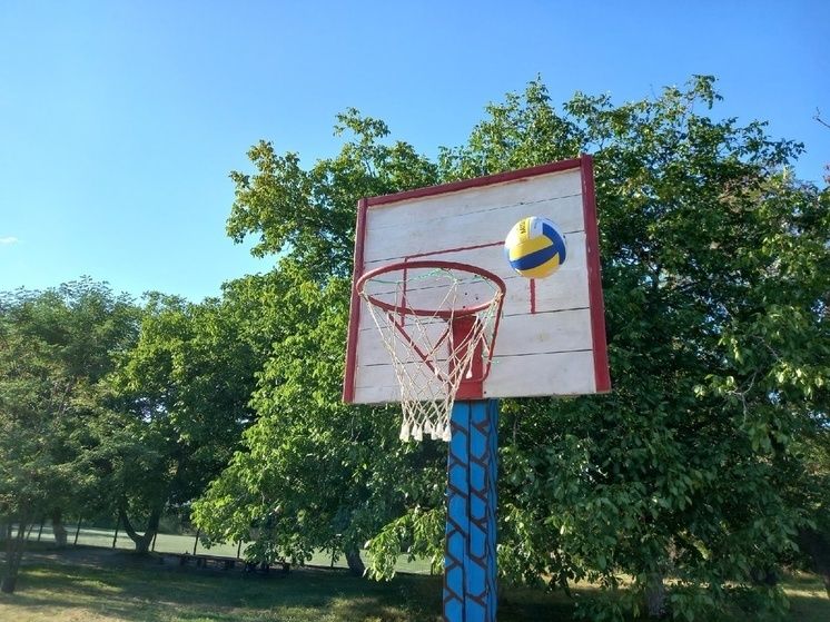 � ��������� ������ �������� ������� ����������� ���������� ��������