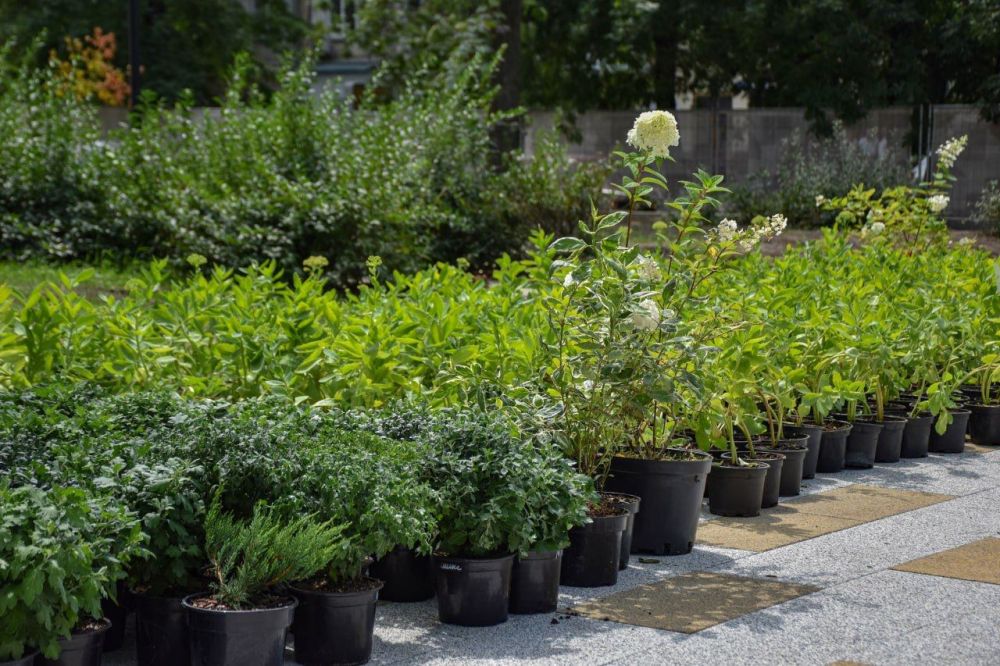 ���������� ������ ����� ������ "������� �������" � �������� ������������ ������� ����� ������ ��������