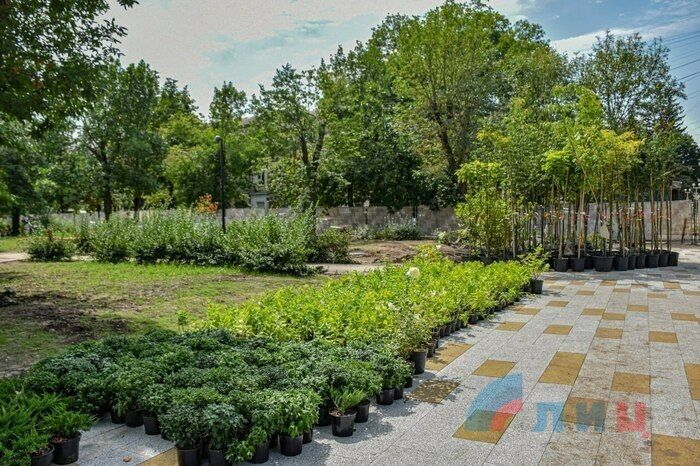 ����� ������ ����� �������� ������� ����������� ����� ����� "������� �������", - ������� ����������� ������������ ������� �� ������������� ����� ��������� ���������