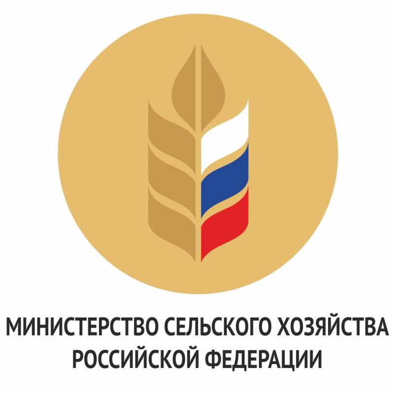 ���������� ������ ���������� ���������������� ��������� ������������ ���