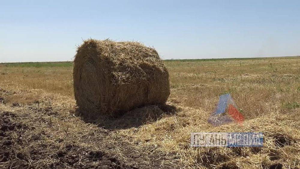 ��������� �������� � ��� �������� � �������������� ����� �������