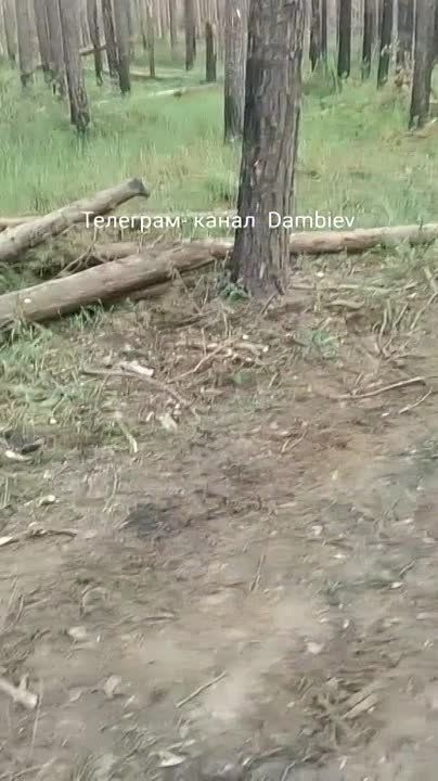 ������ �������: ������������ "��������" � ����� ��� ��������� ���������� �������� ���������� ���������� ������������ Iveco ACL 90, ���������� ���������� ������������� � �������� ������� ������ �� ������� ����������