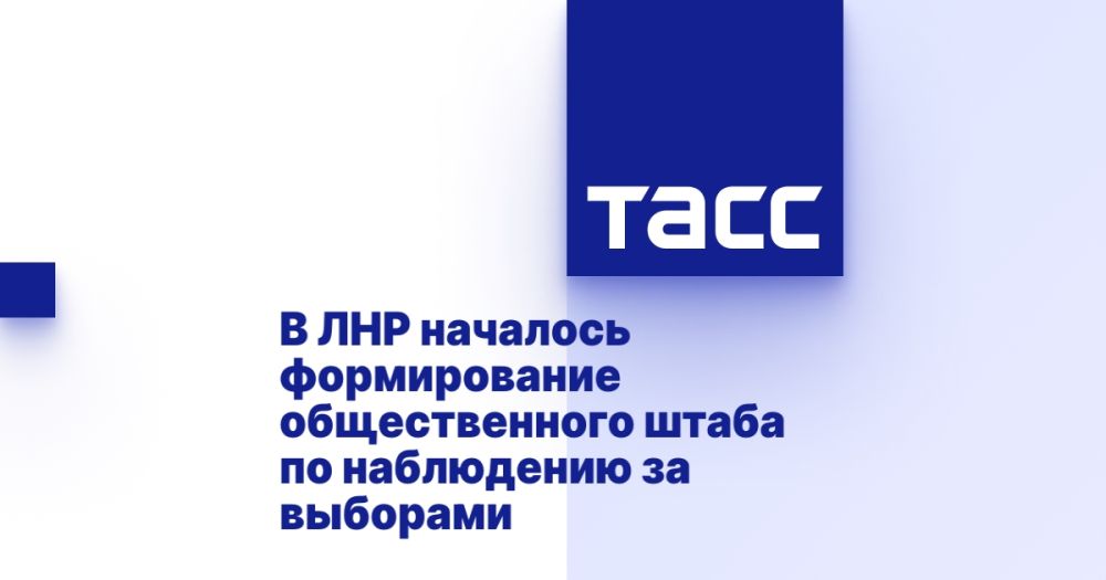 В ЛНР началось формирование общественного штаба по наблюдению за выборами