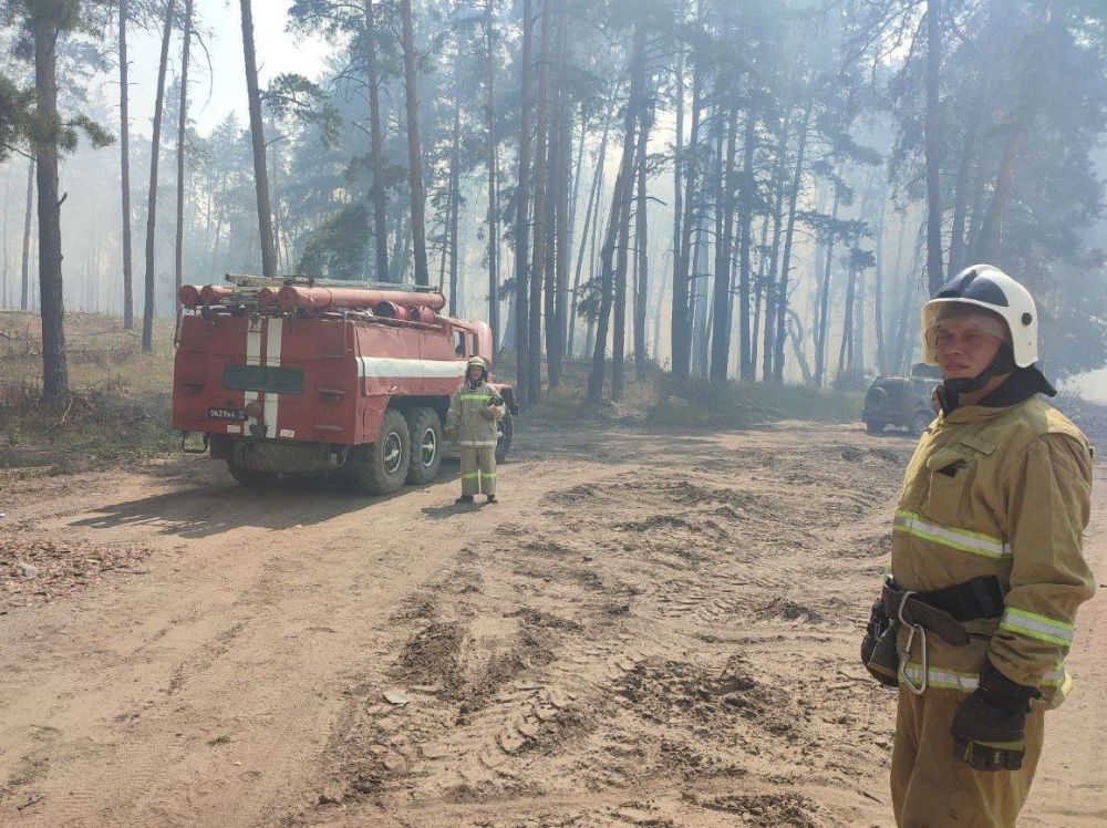 ���������� ���� �� ������� ��������� ��������� � ���������� �������� ���, �� ���� ������� ����� ������������� ������ �������� ���������