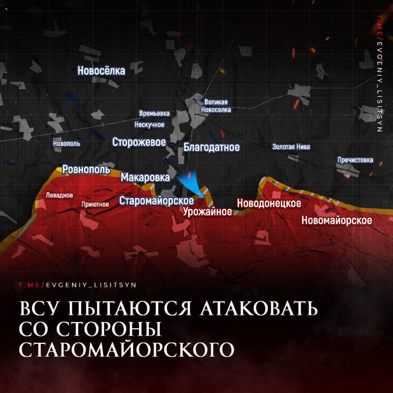 ������� �������: ��������� ������ �� ���� 29 ����: