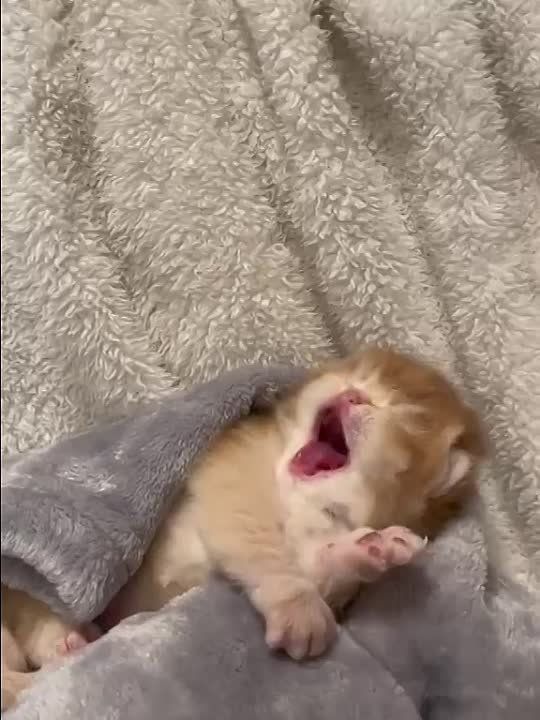 ������ ����! ����� ���� ���� ����� �������� ���� ������ ��������. ������ ������� ���������� � ������� �� ���� �����