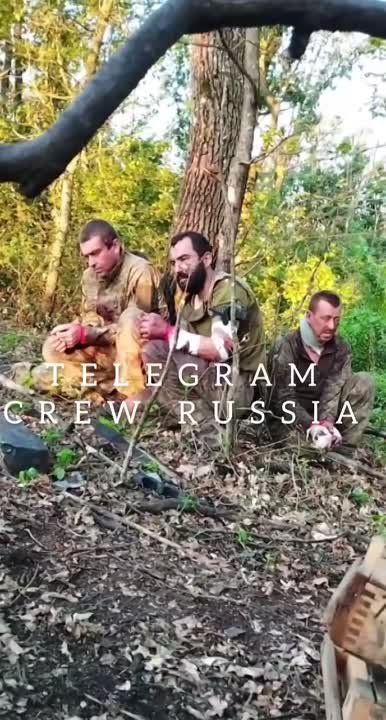 ������� �������: ��������� ������ ������� ���-������ �� ���������� �����������