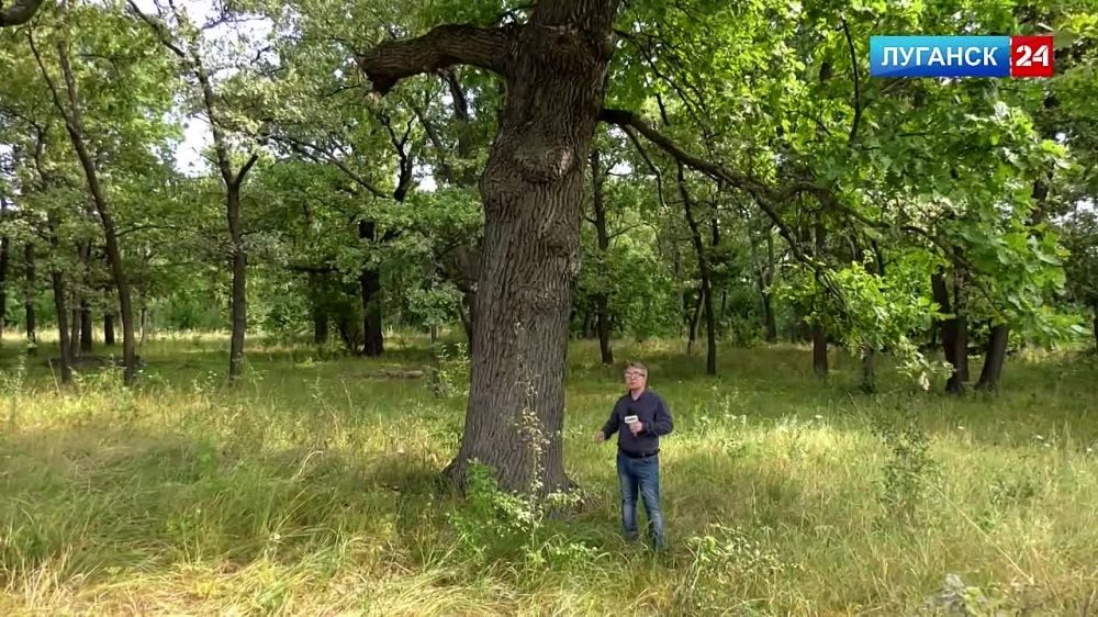 �� ������ ��������-���������� ������ ���������� �������������� ��������� ������������� �������� ������� ��������