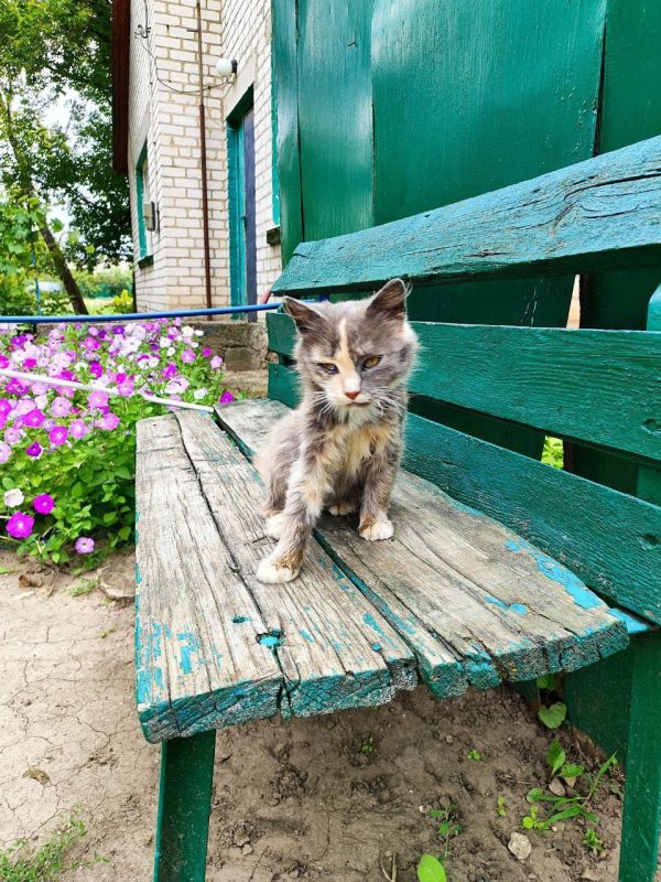 �� �������� ���������� �����������: