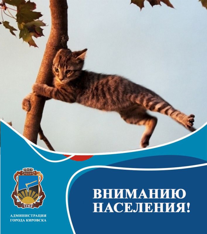 �������� ���������!. �� ������ �������� ��� � ������� 03 ������� ������� � ��������� �������� ���������� ��������� �������� ����������������� �������: ������� �����, ����� � ��������� � ������, � ��������� ������� � ������ � ��������� ����� 18-23 �/�