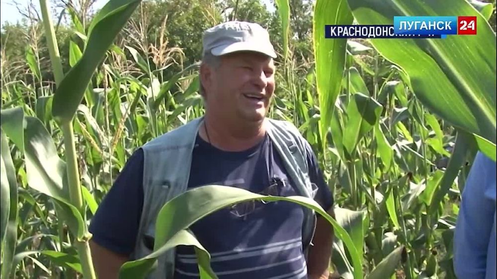 ������������� ���������� ������ �������� ��������