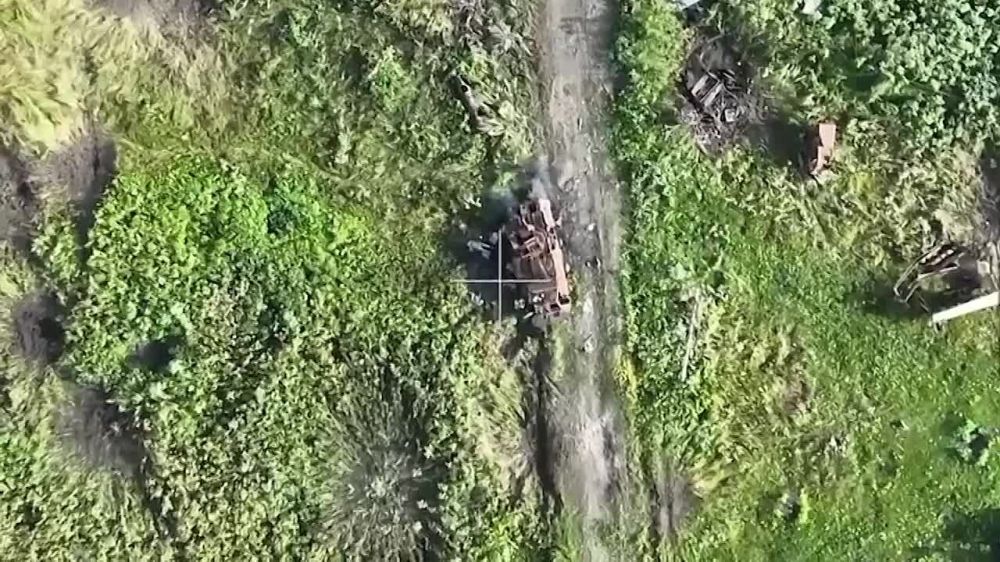 ������� ���������: ����� � ��������� ����� ������ ���������� ������������� (��� - ��������� �����������)