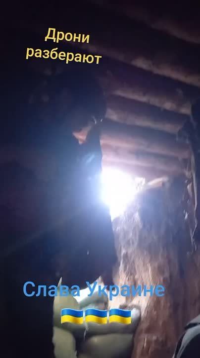 ������ �������: ������� ��� �������������� ��������� �� �� � ����� ��� ���������