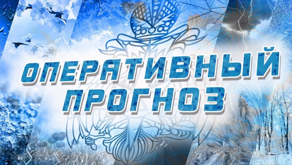 ������ �������: ������� ������������� ������������ �������� �� ���������� ��������� �������� ���������� �� 07 ������� 2023 ���� �� �� ��� ������ �� ���