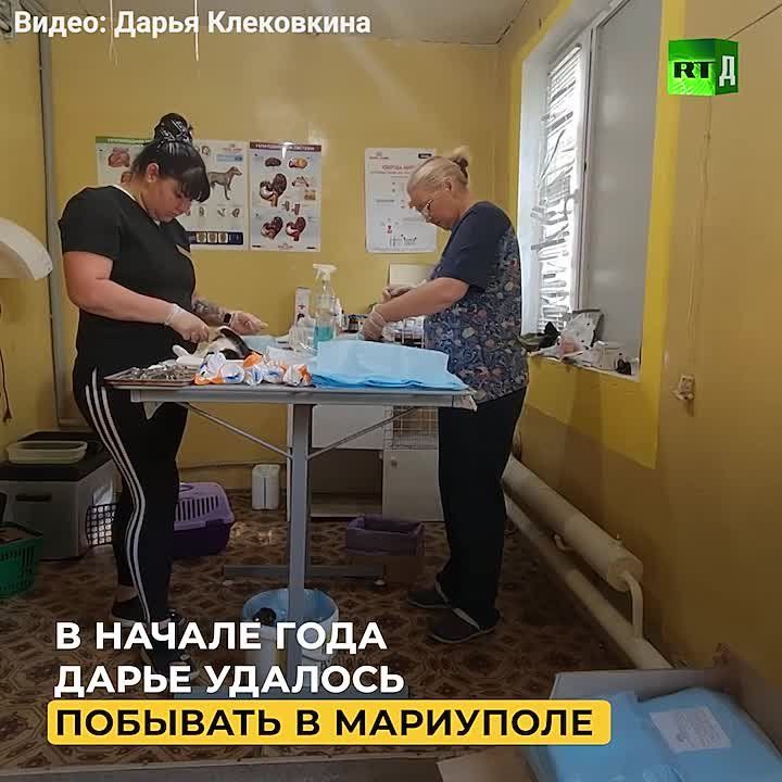 ������� ��� ������� �� �����. ������������� � �������, ��� ������ � ���� � ���� ������ �������